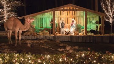 A Seasonal Story