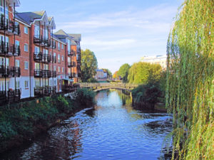 Rental demand increases while landlords opt to sell