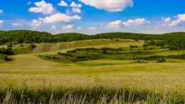 rural landlords