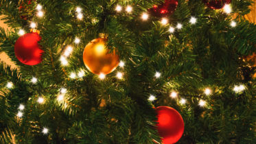 Xmas is Coming - the Landlord’s Getting Flak