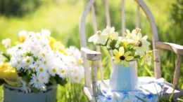 Spring Has Sprung - Time to Check Your Property