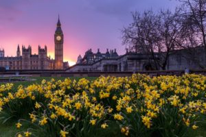 Call for Government action to avoid arrears crisis