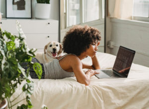 Government has ‘no plans’ for pets for lets concessions