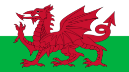 Welsh Flag