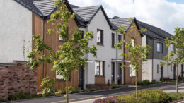 BPF calls for 30,000 build-to-rent homes annually to tackle housing crisis