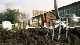 Allotment Lands Hold Potential for 200,000 New Homes Across England, Research Reveals