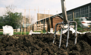 Allotment Lands Hold Potential for 200,000 New Homes Across England, Research Reveals