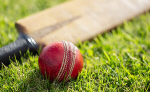 Cricket Grounds and Surrounding Property: A Housing Market Scoreboard as the Ashes Unfolds