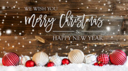 Wishing all our readers a wonderful Christmas and a successful 2025