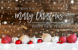 Wishing all our readers a wonderful Christmas and a successful 2025