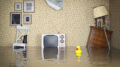 Significant Number of UK Renters Lack Contents Insurance