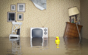 Half of UK Renters Lack Contents Insurance