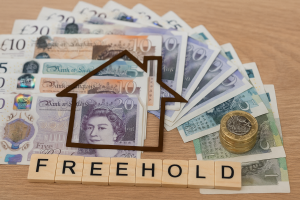 Buyers pay steep premium for freehold property as leasehold reforms lag