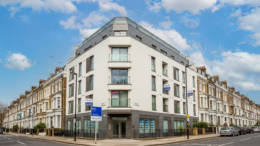 London rental properties with To Let signs in spring sunlight