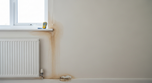Government data shows damp in 10% of private rented homes