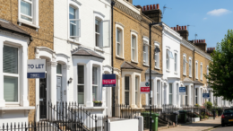Inner London terraces with To Let boards