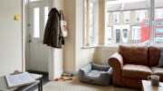 Modern rental flat prepared for a pet dog