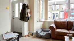 Modern rental flat prepared for a pet dog