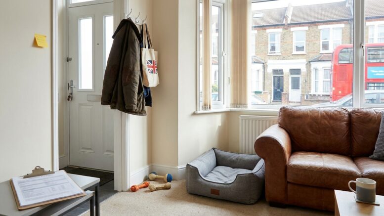 Modern rental flat prepared for a pet dog